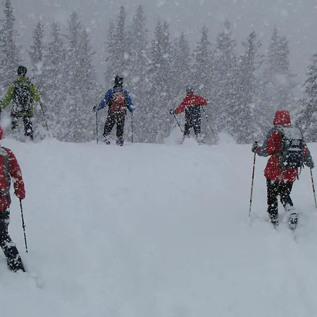 Roeck Iv Apartment *